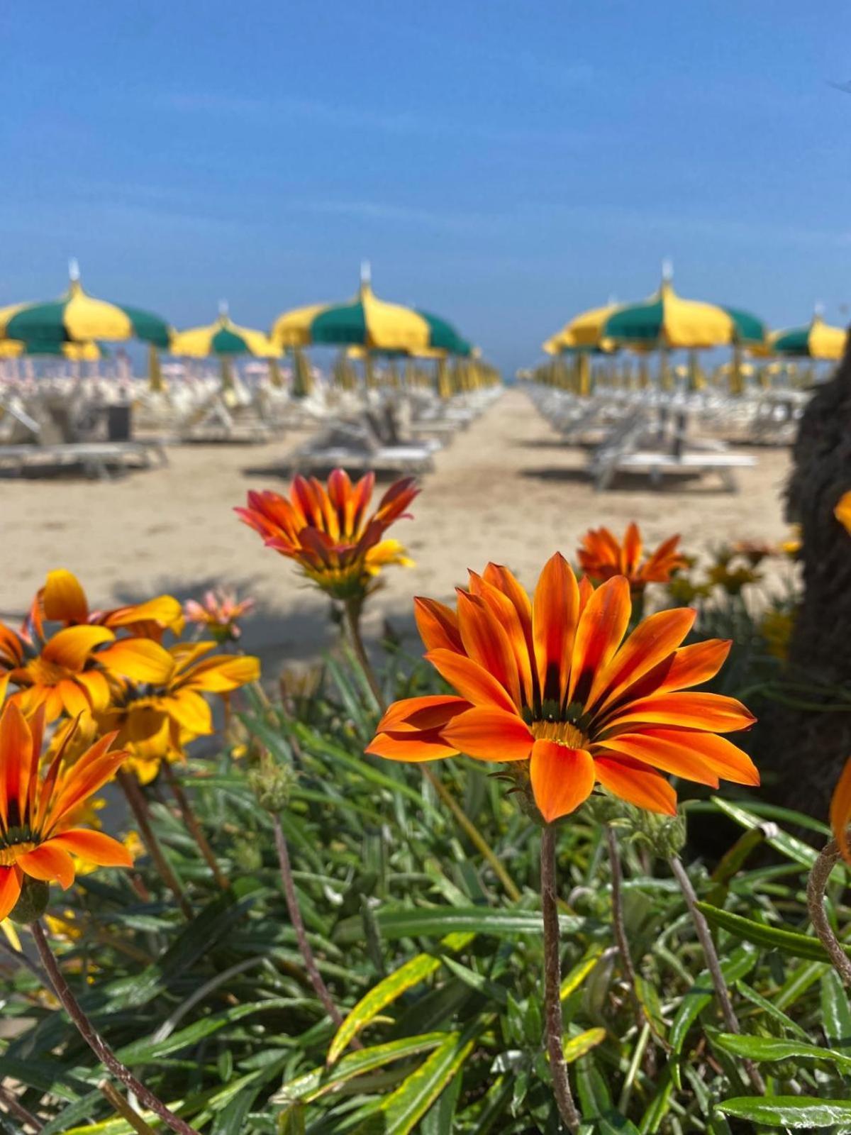 Rimini Bay Suites&Residence ภายนอก รูปภาพ