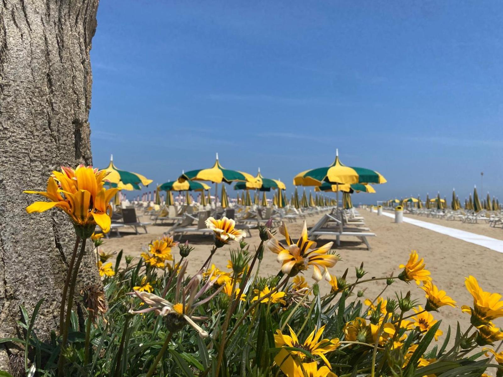 Rimini Bay Suites&Residence ภายนอก รูปภาพ
